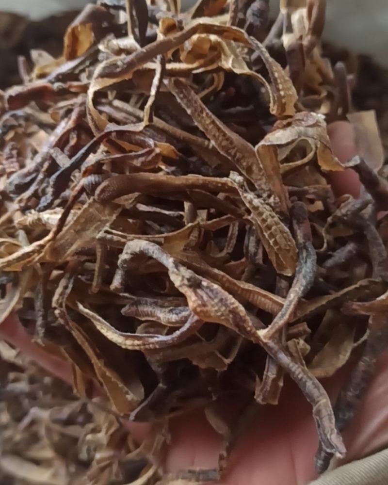 地龙小地龙中药材批发地龙质量保证量大从优