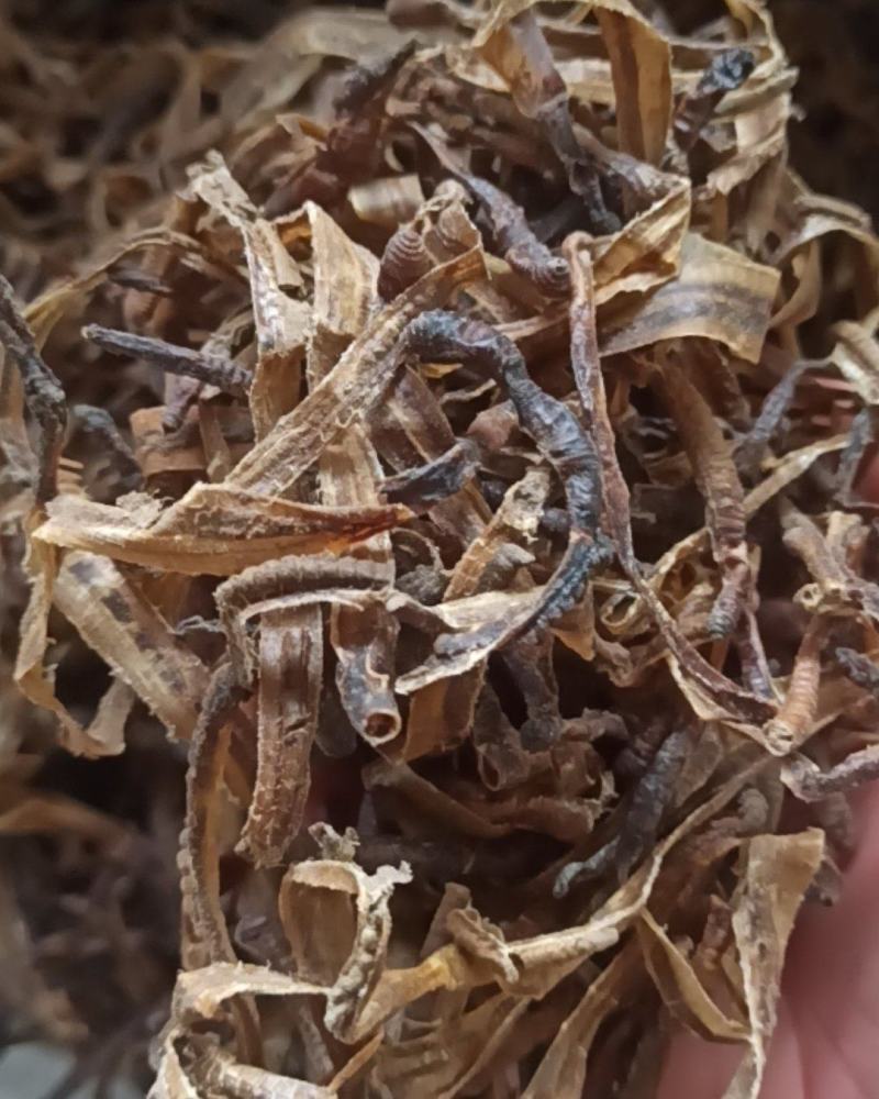 地龙小地龙中药材批发地龙质量保证量大从优