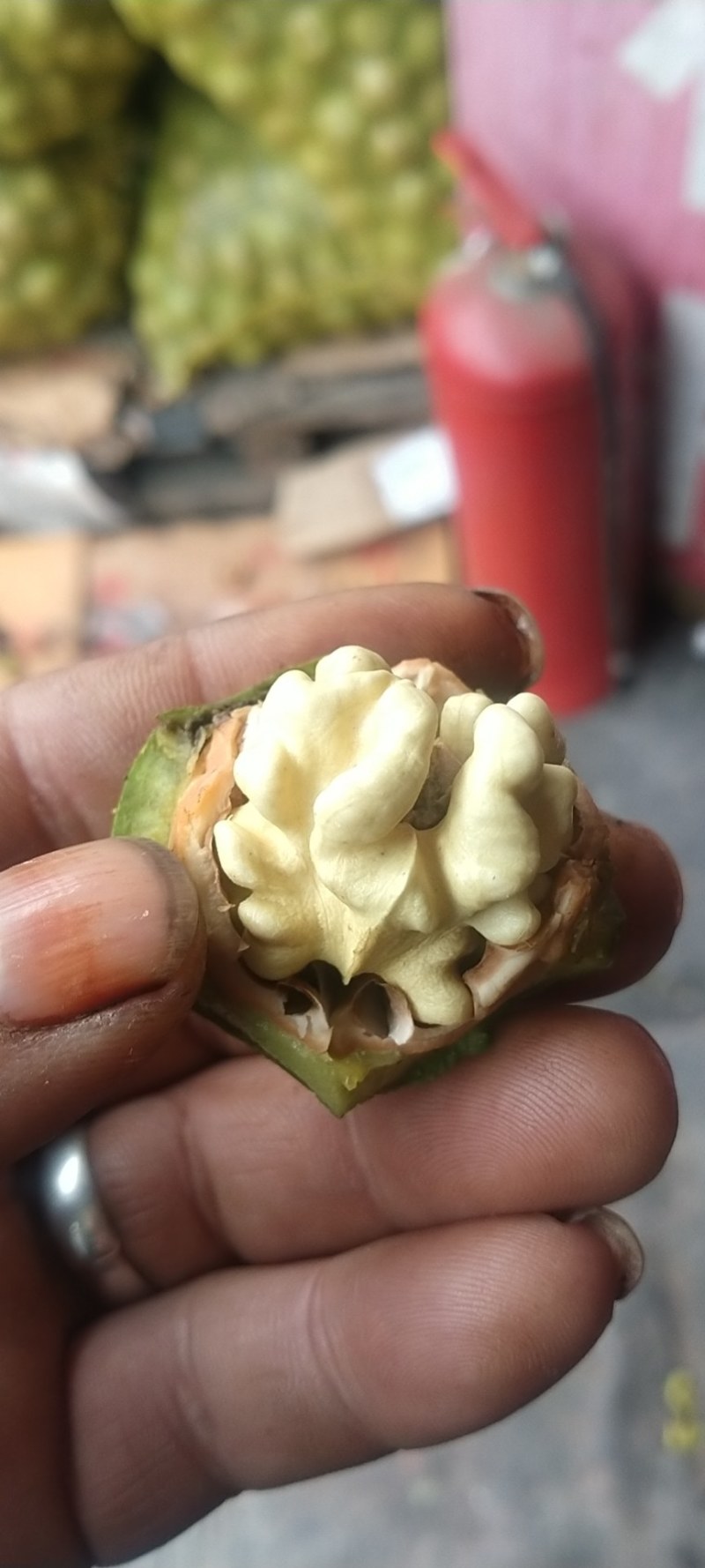 青皮，冷库礼品核桃湿核桃，承接电商商超代发代收，