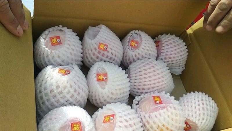 新疆阿克苏冰糖心苹果阿克苏产地发货，专业代收代发质量保证