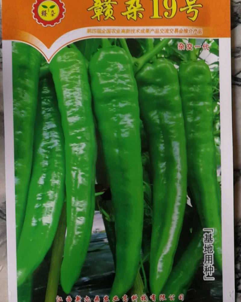杂交一代辣椒籽