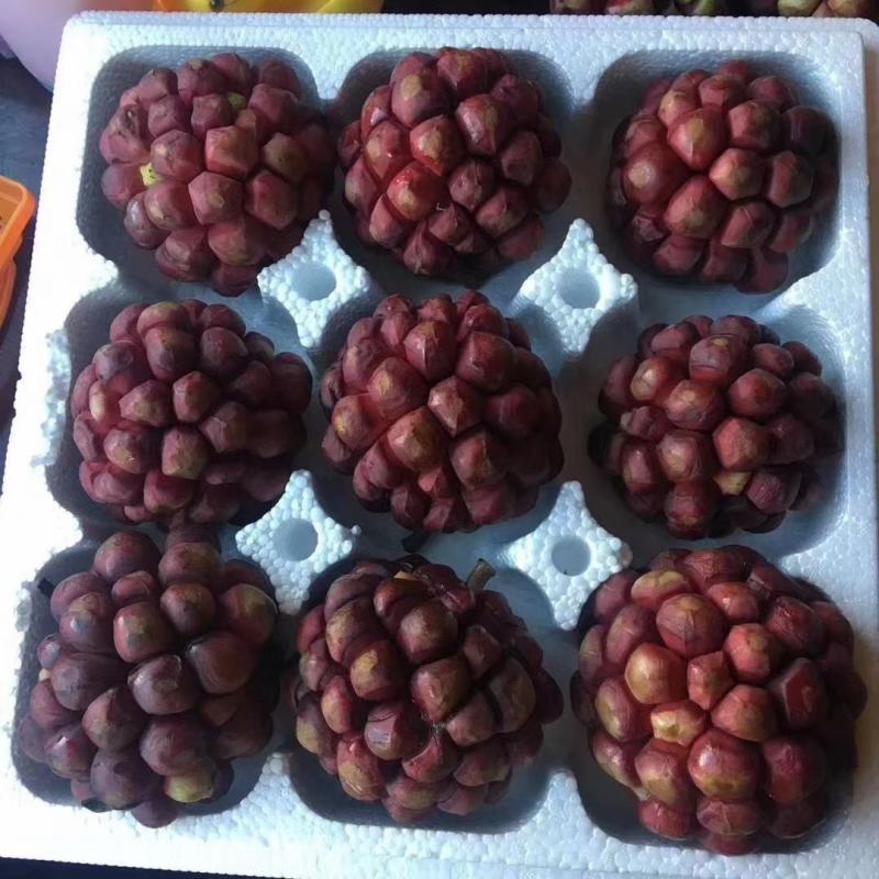 布福娜