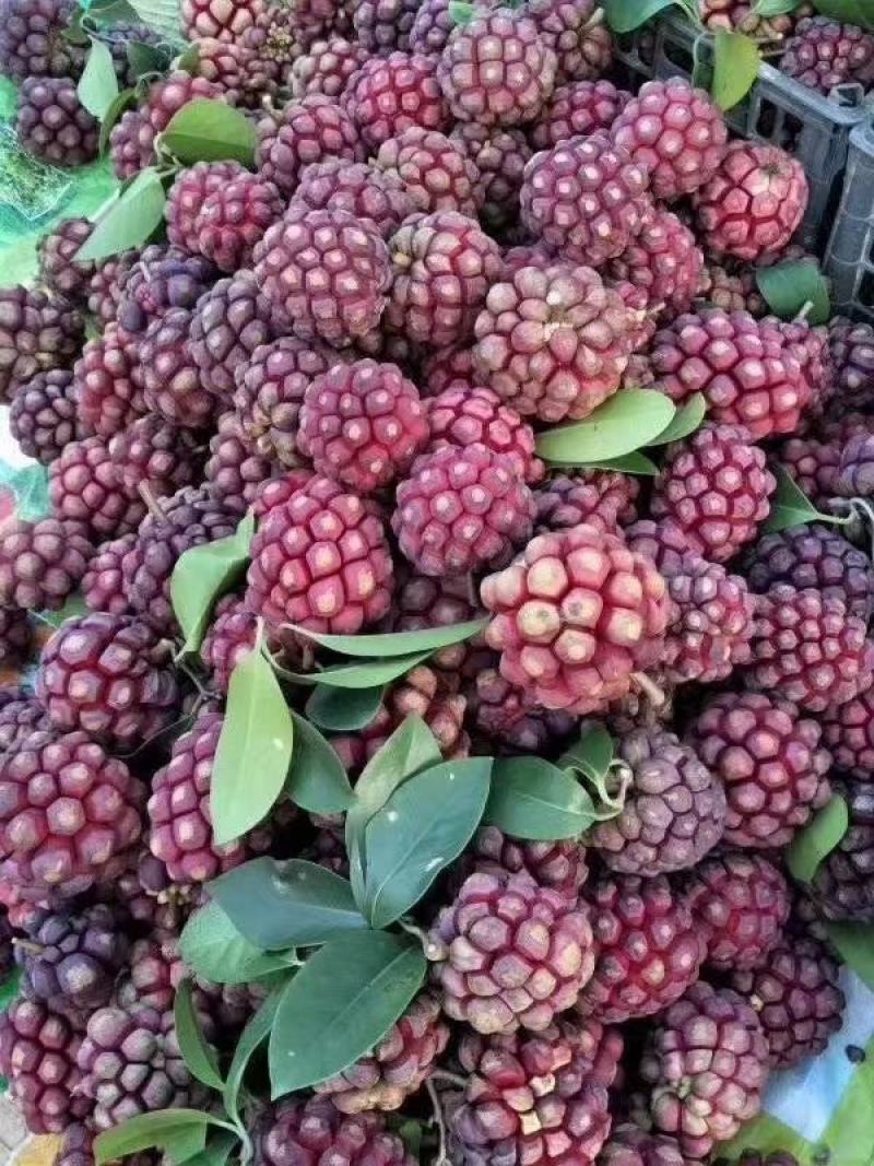 布福娜