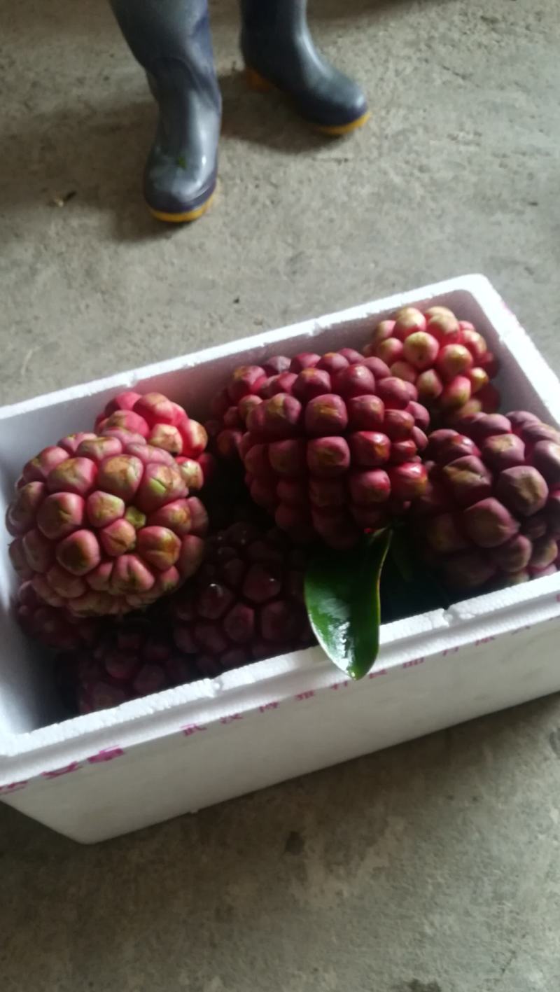 布福娜
