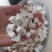 茯苓茯苓块过筛无沫