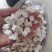 茯苓茯苓块过筛无沫