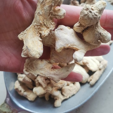 【干姜】精品干姜辛辣十足一手货源规格齐全欢迎咨询