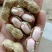 基地精品湿花生，带壳鲜花生，电商超市市场，加工厂保证质量