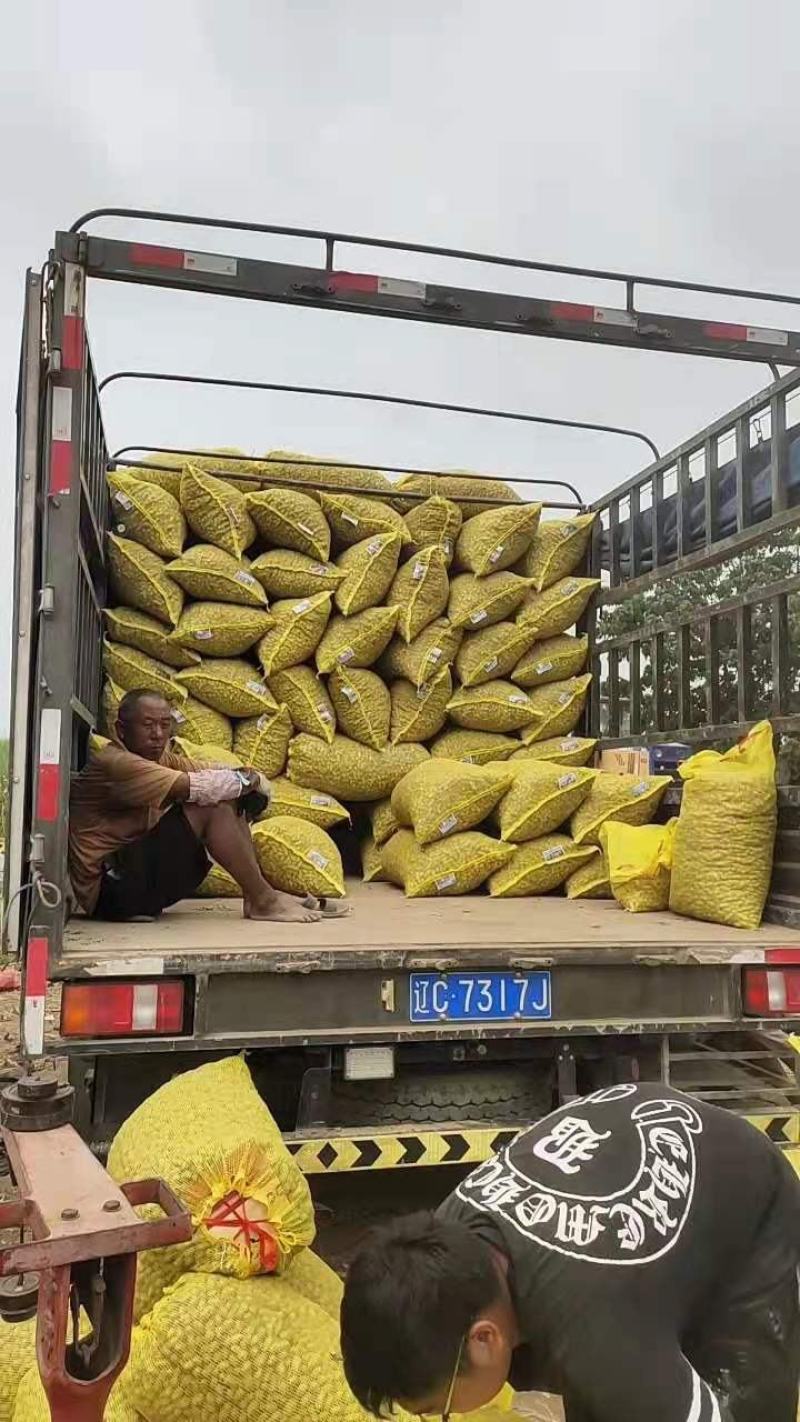 罗汉果鲜花生，小白沙大白沙湿花生，商超市场电商加工厂