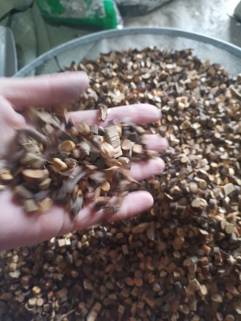 桂枝粗断桂枝