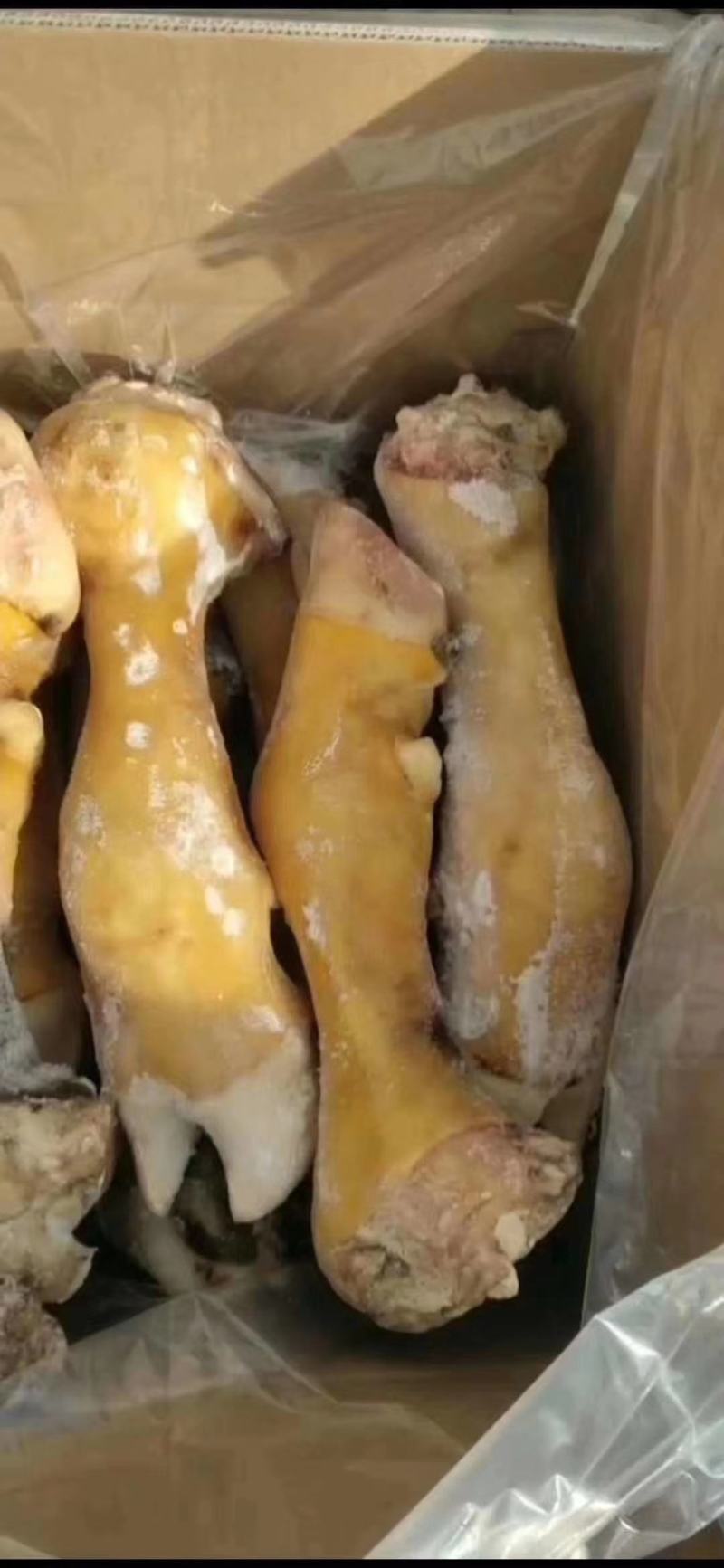 火烧带骨牛蹄50斤起手续齐全