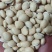 白扁豆中药材批发白扁豆产地直销量大从优