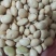 白扁豆中药材批发白扁豆产地直销量大从优