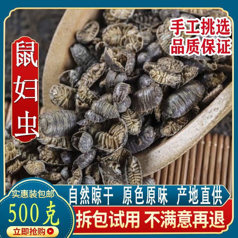 鼠妇虫中药材鼠妇虫鼠妇虫地虱湿