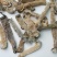 精选印尼沙虫干新货这款沙虫短身肥厚没有异味