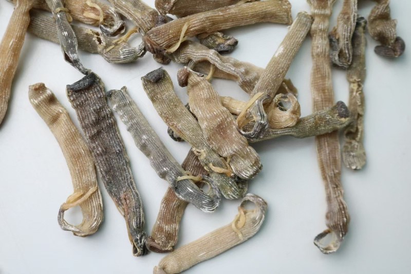 精选印尼沙虫干新货这款沙虫短身肥厚没有异味