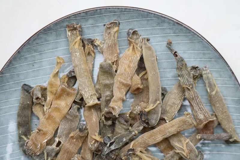 精选印尼沙虫干新货这款沙虫短身肥厚没有异味