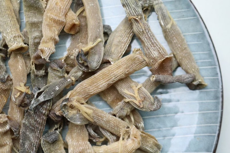 精选印尼沙虫干新货这款沙虫短身肥厚没有异味