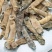 精选印尼沙虫干新货这款沙虫短身肥厚没有异味