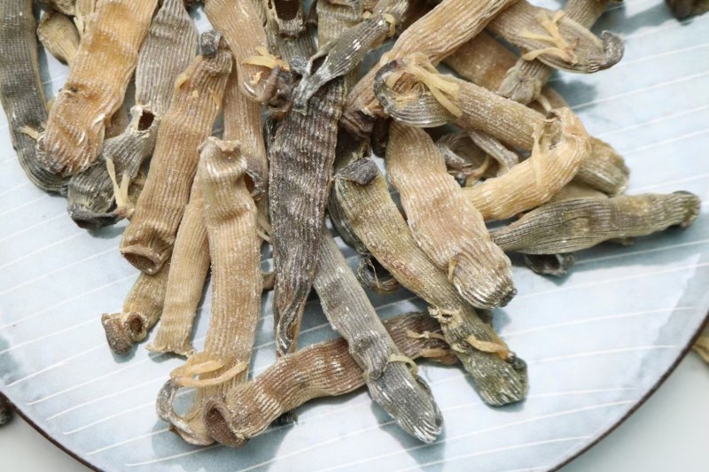 精选印尼沙虫干新货这款沙虫短身肥厚没有异味