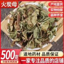 正品火炭母火炭母草中药材火炭母根火炭星火炭藤白饭草