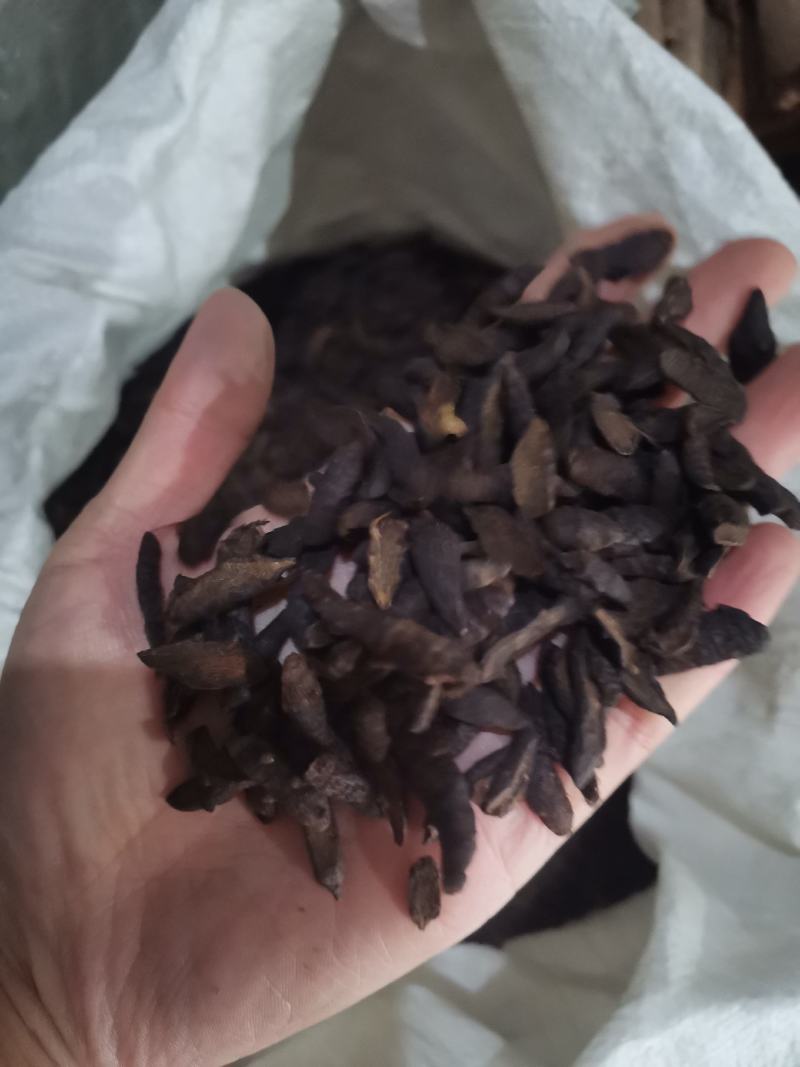 【香附】香附片中药材一手货源全国发货欢迎咨询