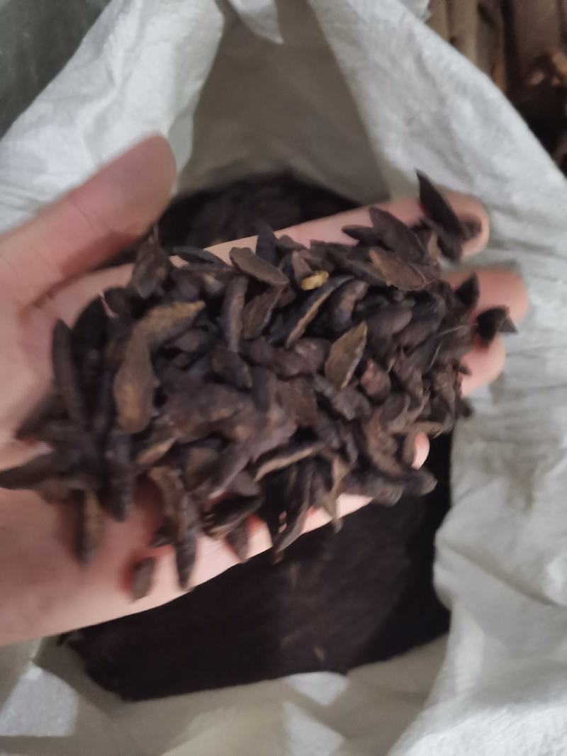 【香附】香附片中药材一手货源全国发货欢迎咨询