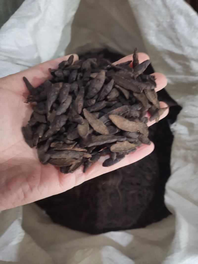 【香附】香附片中药材一手货源全国发货欢迎咨询