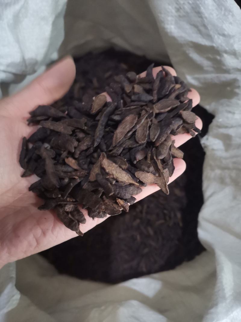【香附】香附片中药材一手货源全国发货欢迎咨询