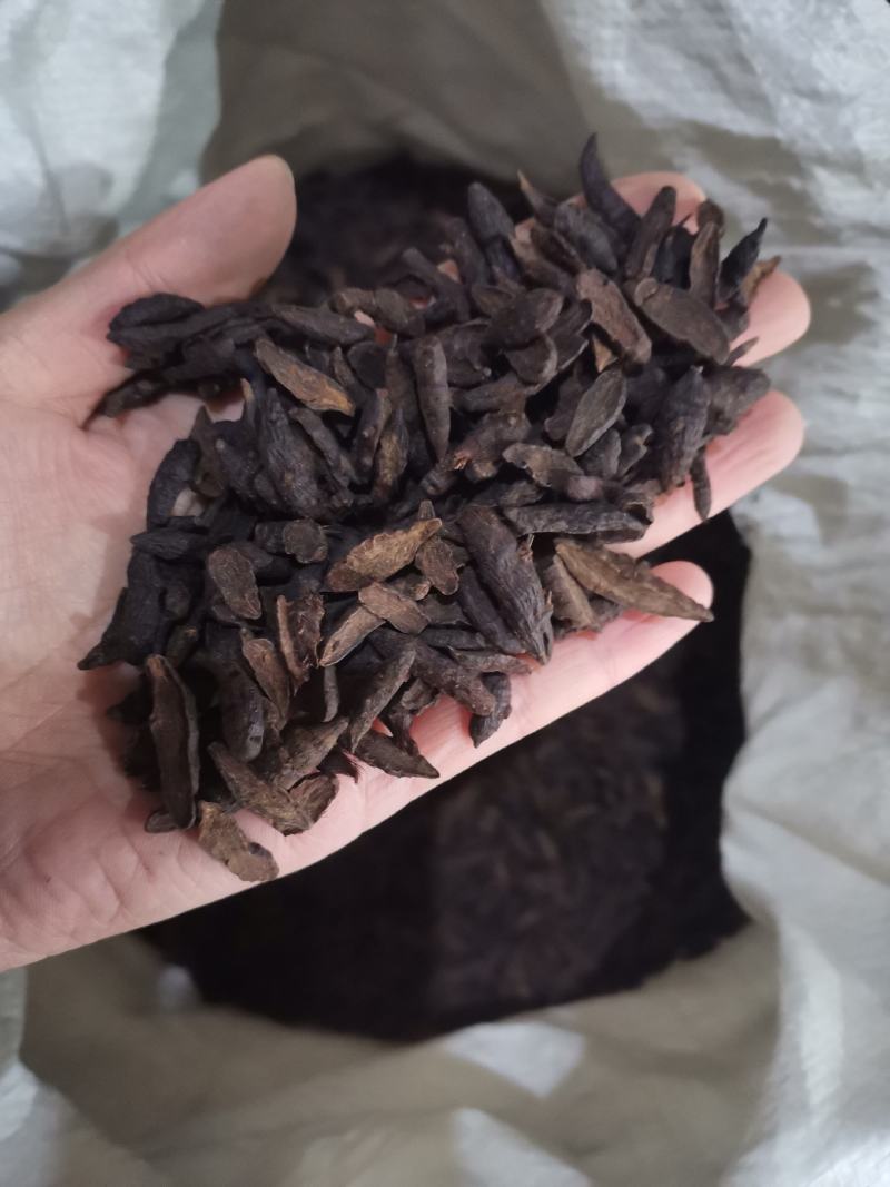 【香附】香附片中药材一手货源全国发货欢迎咨询