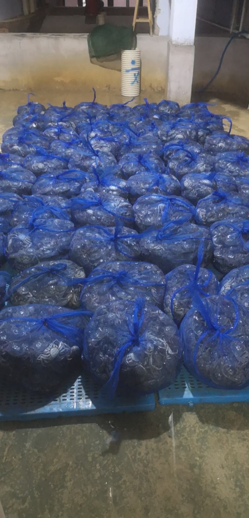 盘锦河蟹，老头蟹，各种规格货源充足直供平台，自助餐，