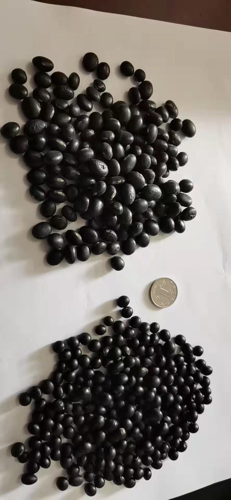 黑豆（黄芯，绿芯，大粒，中粒，小粒）