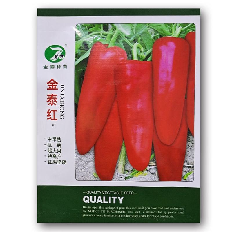 青红椒种子品种，中早熟大果牛角椒种子品种