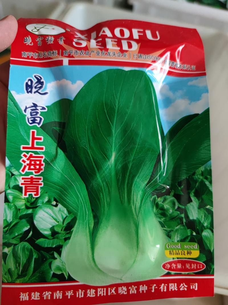 上海青小白菜种子，株型中等、大头,叶柄淡绿色,叶片特多,