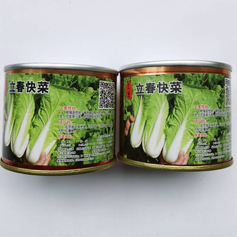 高品质！耐寒快菜种子立春耐低温耐抽苔越冬直立青梗冬春