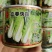高品质！耐寒快菜种子立春耐低温耐抽苔越冬直立青梗冬春