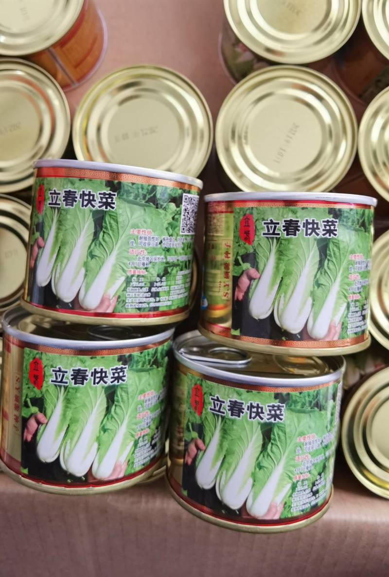 高品质！耐寒快菜种子立春耐低温耐抽苔越冬直立青梗冬春