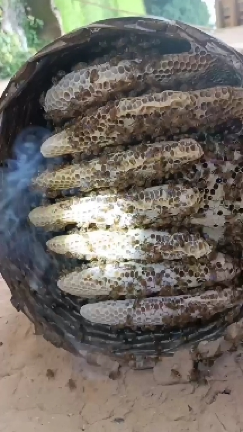土蜂蜜，货真价实的波美度都是42的广西土蜂蜜，有需要的朋