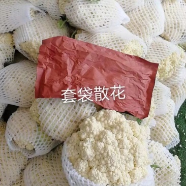有机散花大量供应，