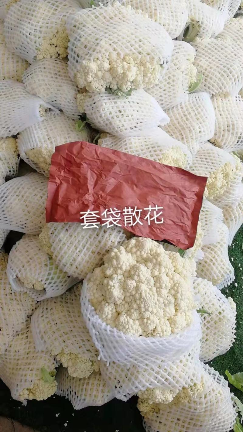 有机散花大量供应，