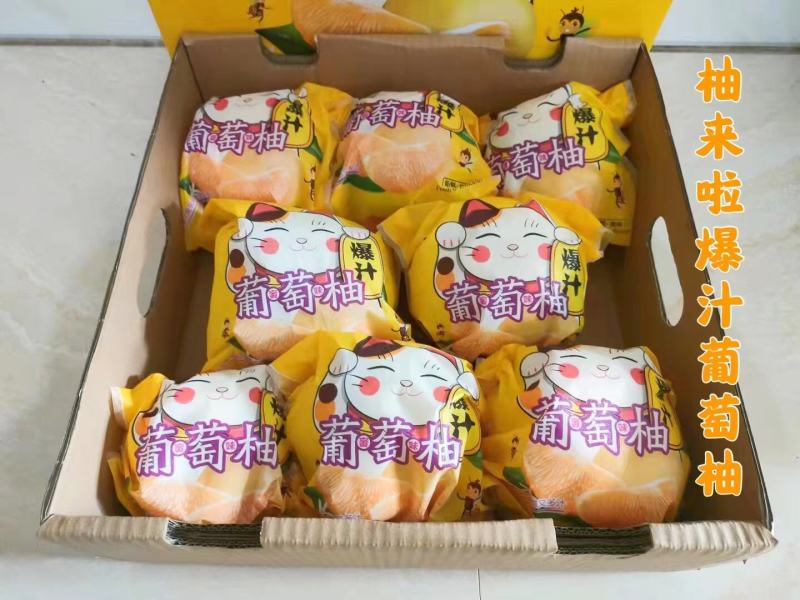 葡萄柚