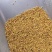 紫花苜蓿种子猪牛羊兔鸡鸭鹅多年生四季养殖牧草种籽