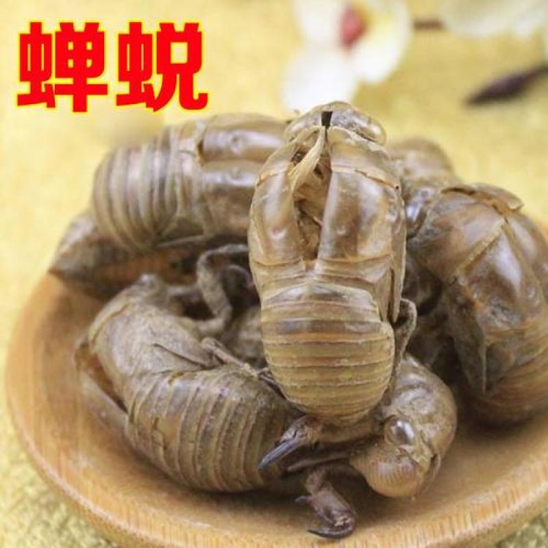 蝉蜕，正品大知了壳质量保证，经营各种中药材，欢迎咨询合作