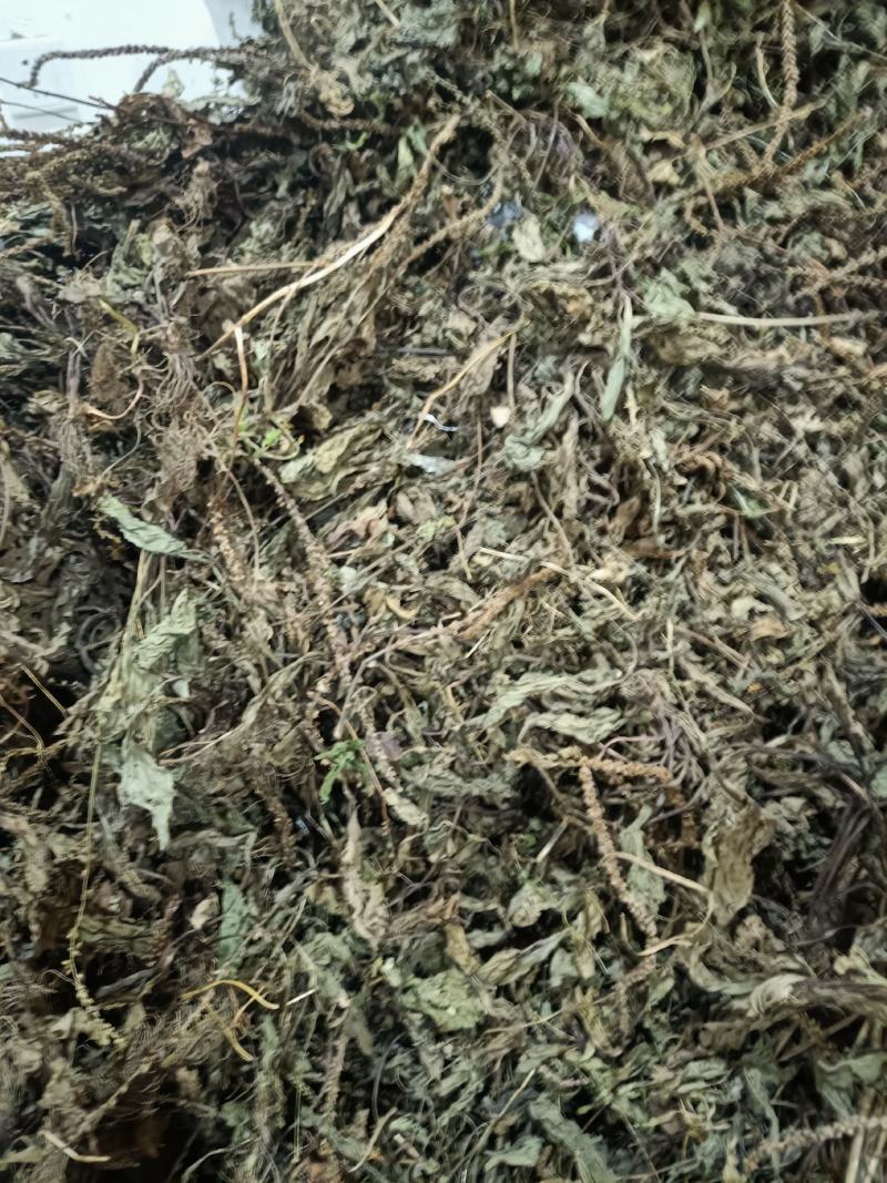 车前草，野生水洗全干货
