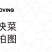 超光速快菜种子，早熟20天上市，大棵型黄芯小白菜