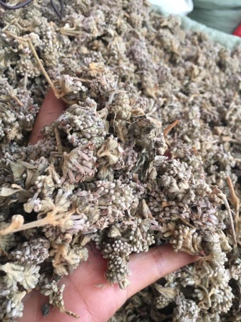 密蒙花，正品野生蒙花质量保证，经营各种中药材欢迎咨询合作