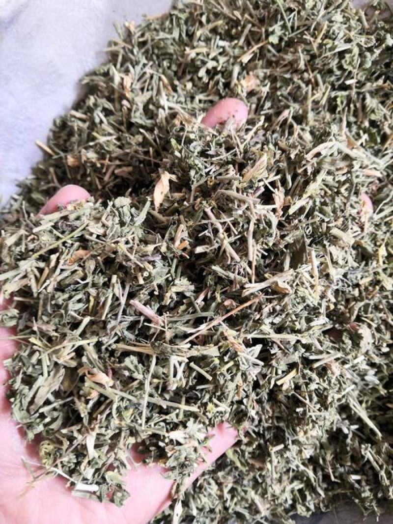 透骨草，正品珍珠透骨草新货过筛质量保证，欢迎咨询购买！