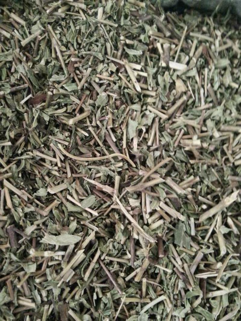 透骨草，正品珍珠透骨草新货过筛质量保证，欢迎咨询购买！