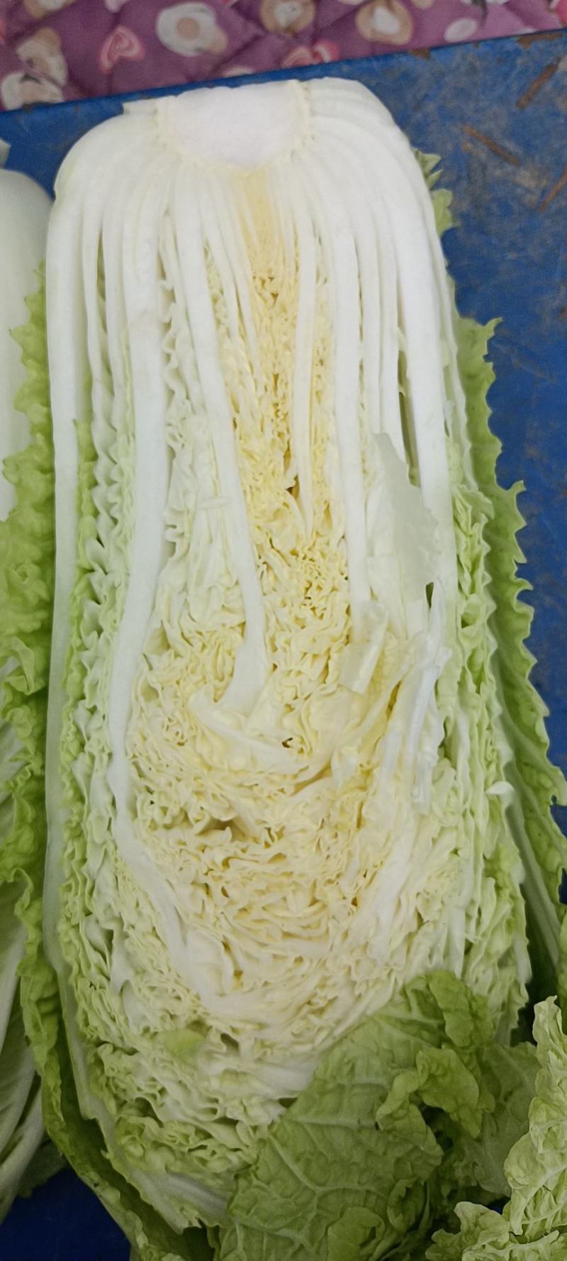 白菜