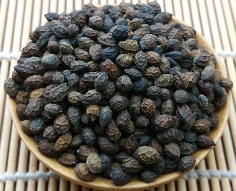 鸦胆子，中药材鸭蛋子质量保证，经营各种中药材欢迎咨询合作